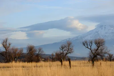 DSC_3096 (Large).JPG